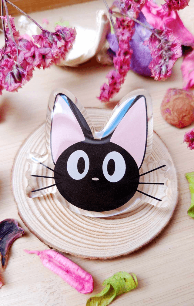 Pin's Chat noir