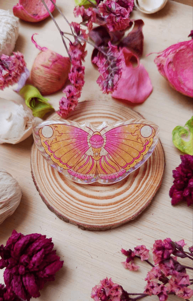 Pin's Papillons Soleil & Lune