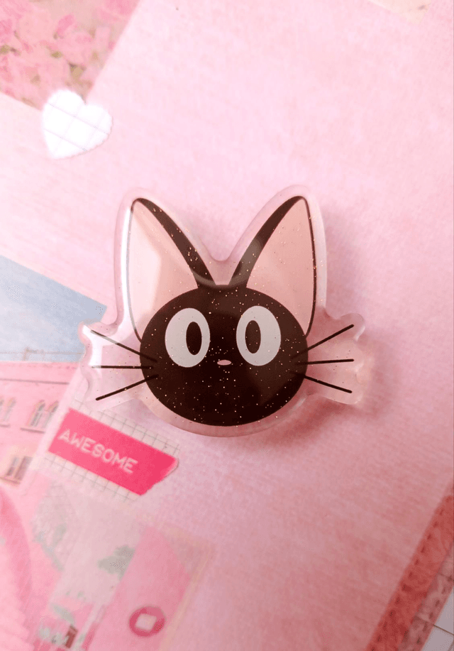 Pin&#039;s Chat noir